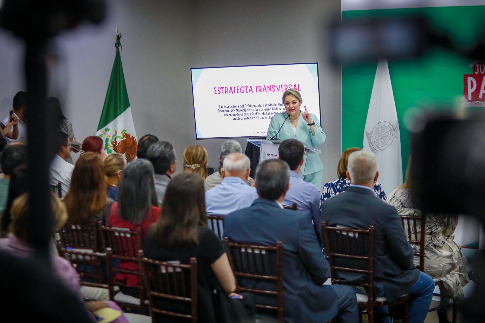Ingrese una descripción para la imagen