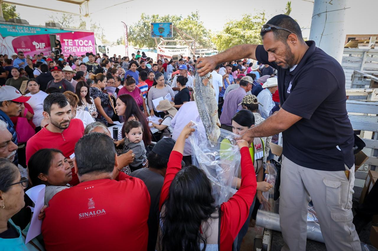 Ingrese una descripción para la imagen